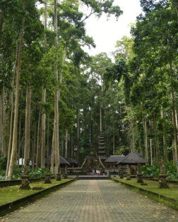 Temple au milieu de la foret des singes à Ubud