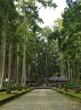 Archipel360 - Bali - Nature - Sangeh Monkey Forest (5)