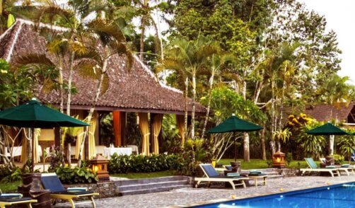 Archipel360 - Java - Kalibaru - Margo Utomo Agro Resort - 1