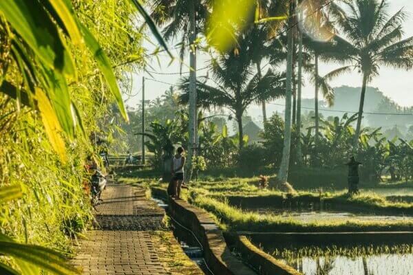 Bali – Rizieres