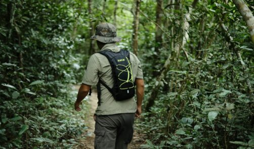 Sumatra trek jungle