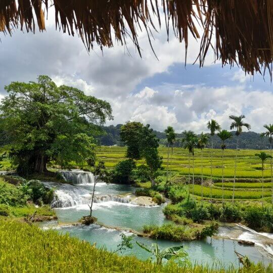 Sumba 2024 18