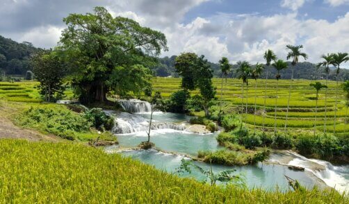 Sumba 2024 19