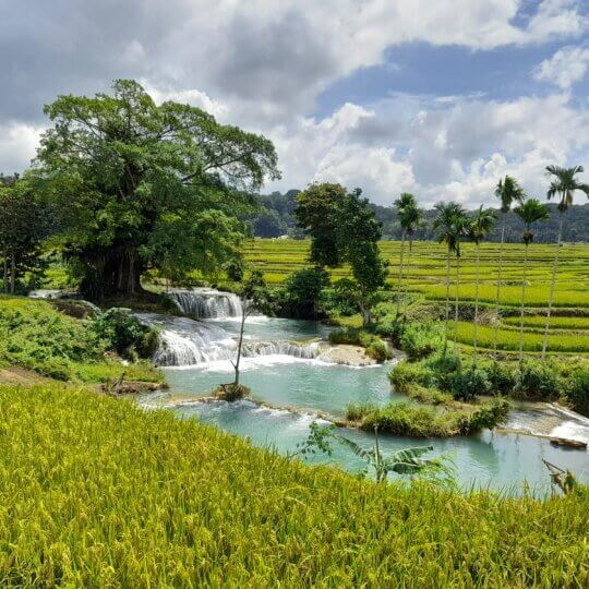 Sumba 2024 19