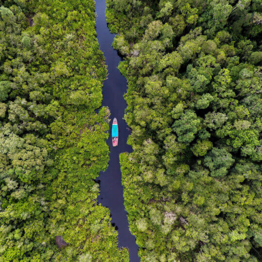 Making our way down the river of Tanjung Putting, Borneo