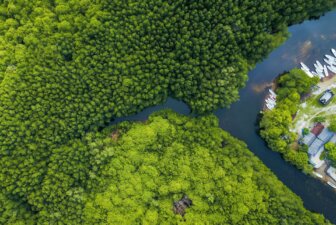 vue aerienne-Borneo-Tanjung Puting-nature