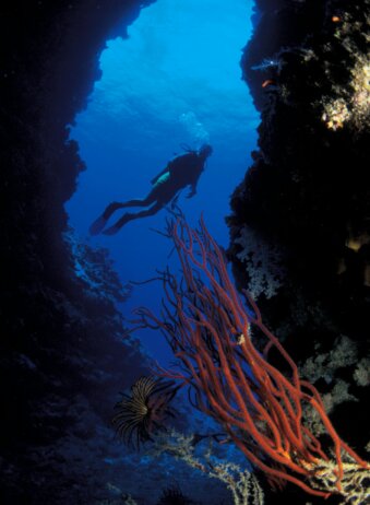 Bali Amed Diving