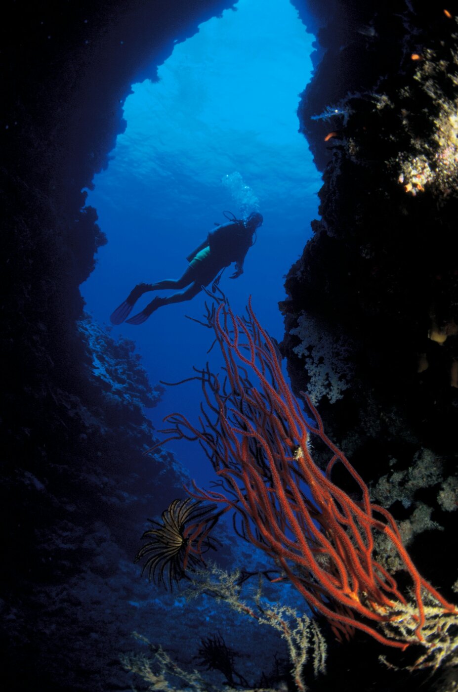 Bali Amed Diving