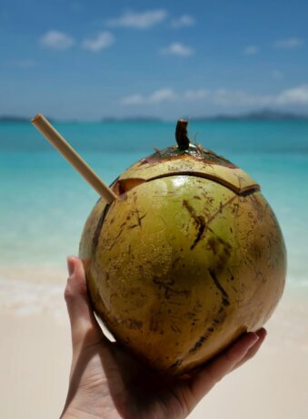Bali Coconut beach
