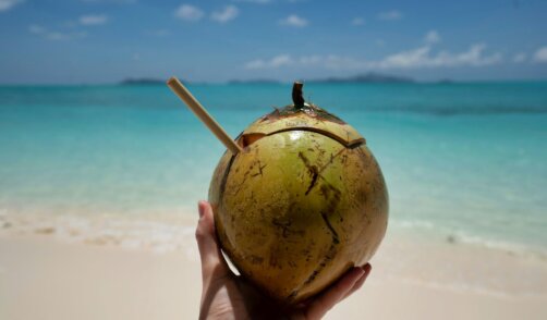 Bali Coconut beach