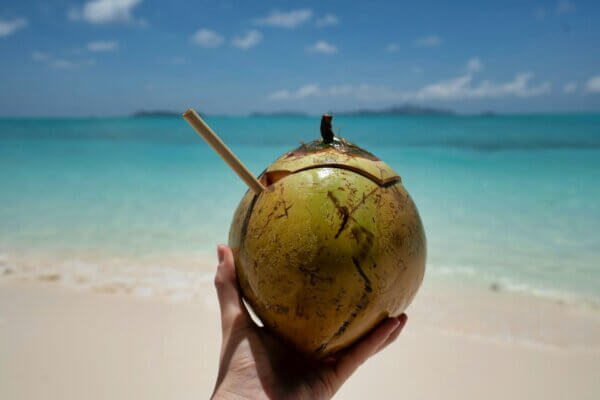 Bali Coconut beach