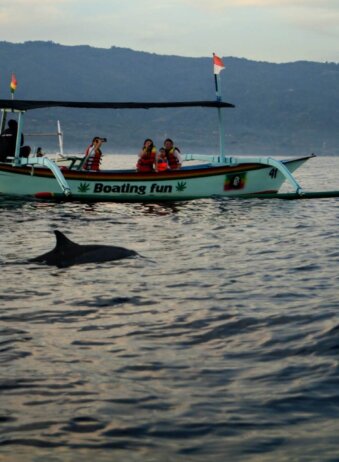 Bali Lovina Dolphin 3