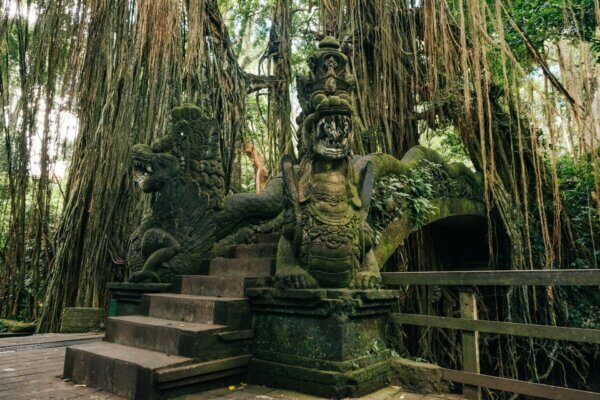 Bali Ubud Monkey Forest 3