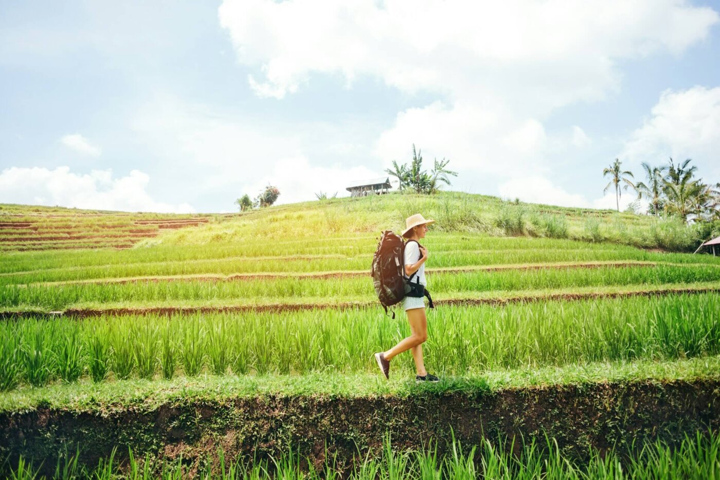 Bali treking rice field 2