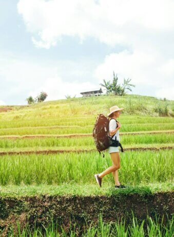 Bali treking rice field 2