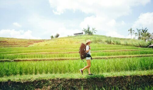 Bali treking rice field 2