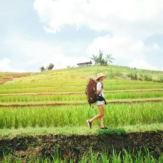 Bali treking rice field 2