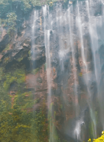 Bali waterfall 22