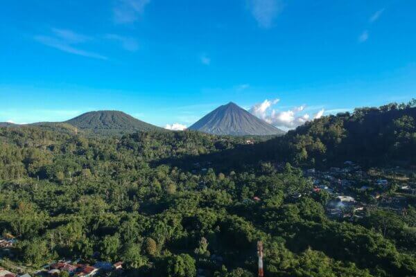 Flores Bajawa