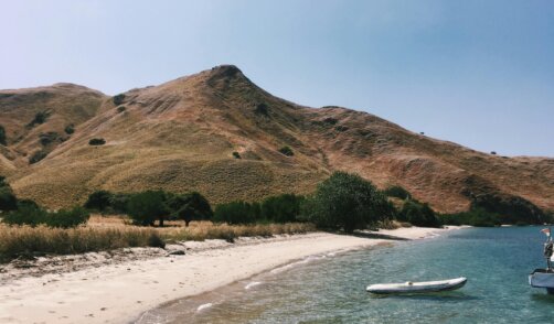 Flores Komodo Padar 2