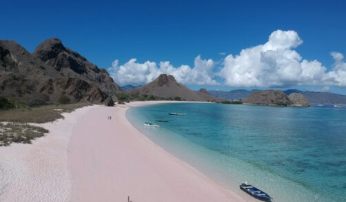 Flores Pink Beach