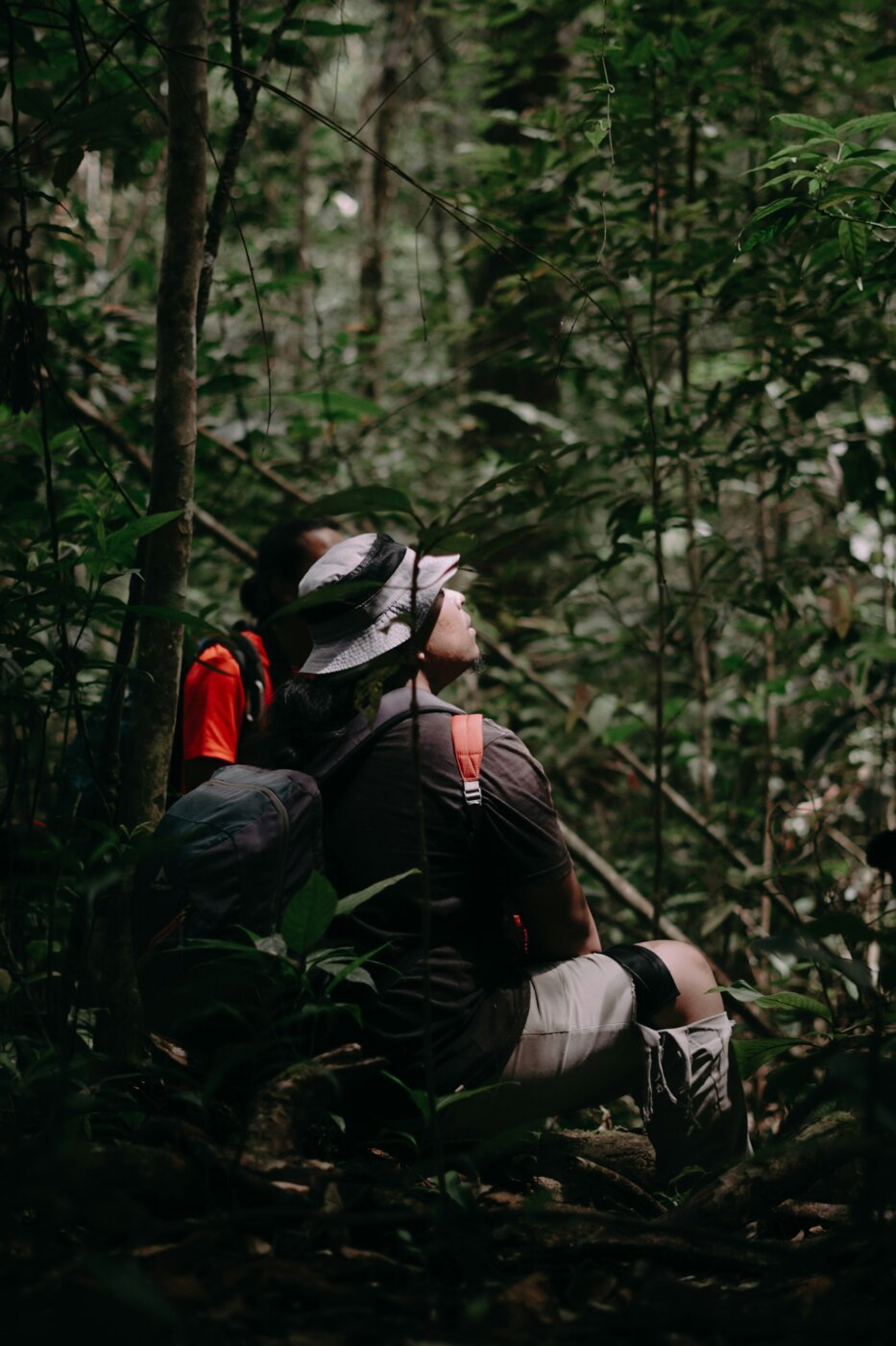 Jungle Trekking