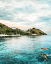 Sudamala Seraya Flores Komodo 2