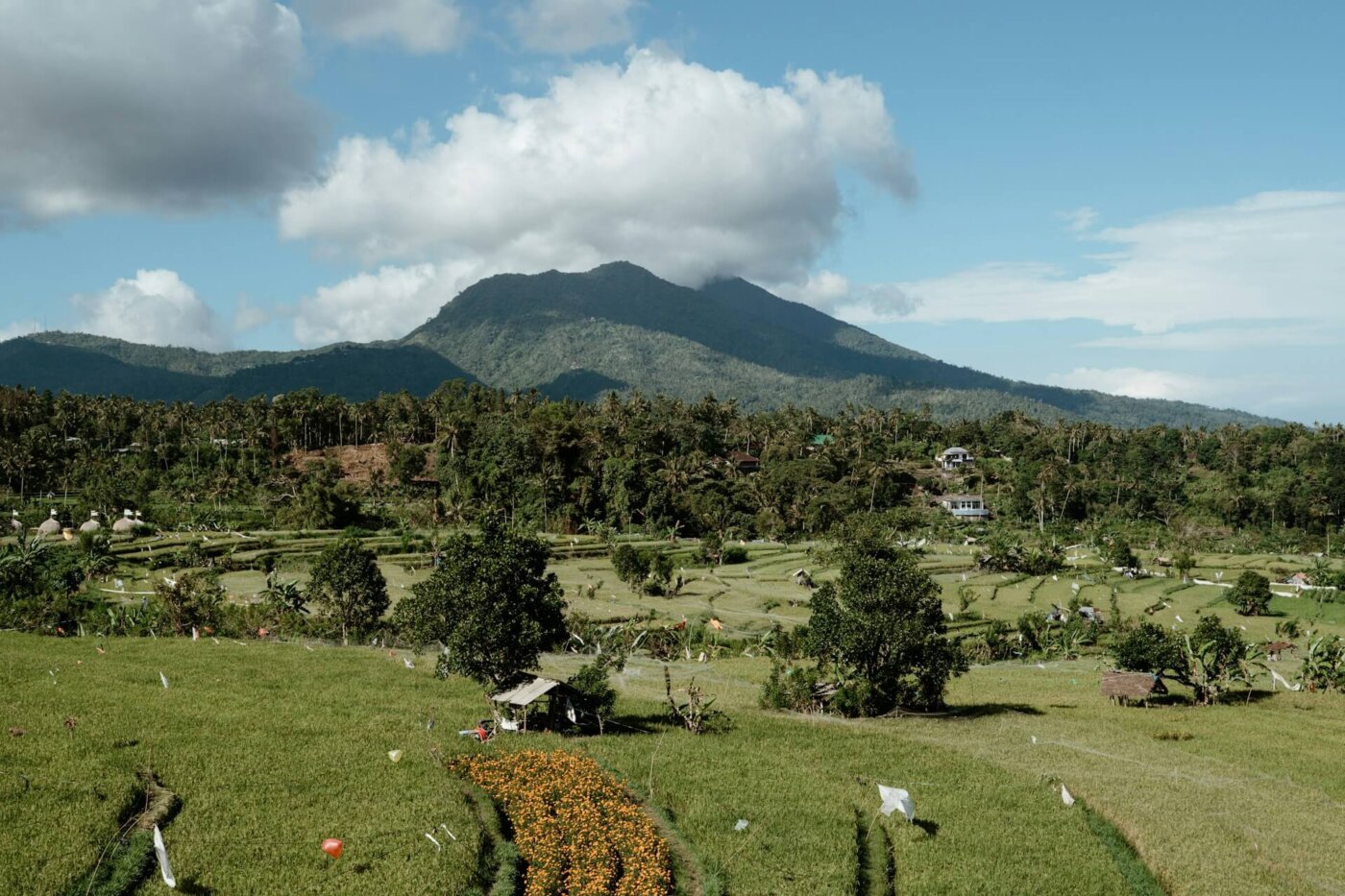 Sumatra landscape