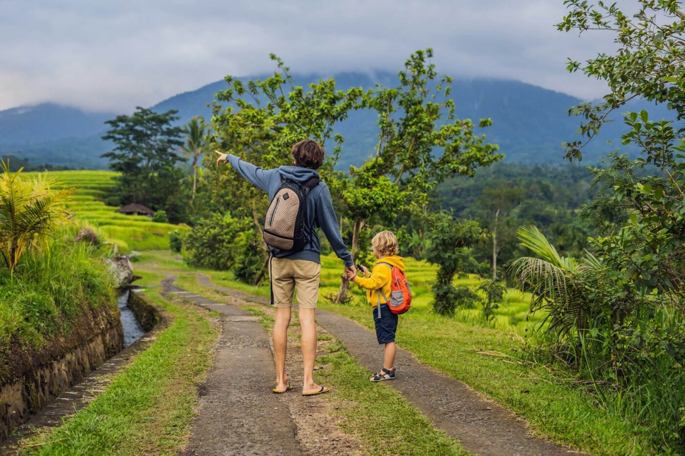 bali family rice field