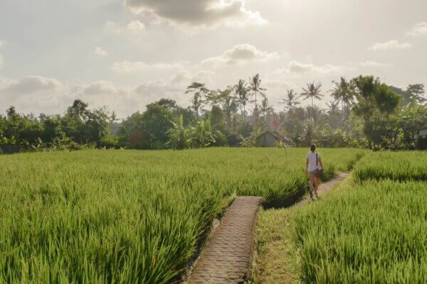 ballade-sidemen-Bali-rizieres