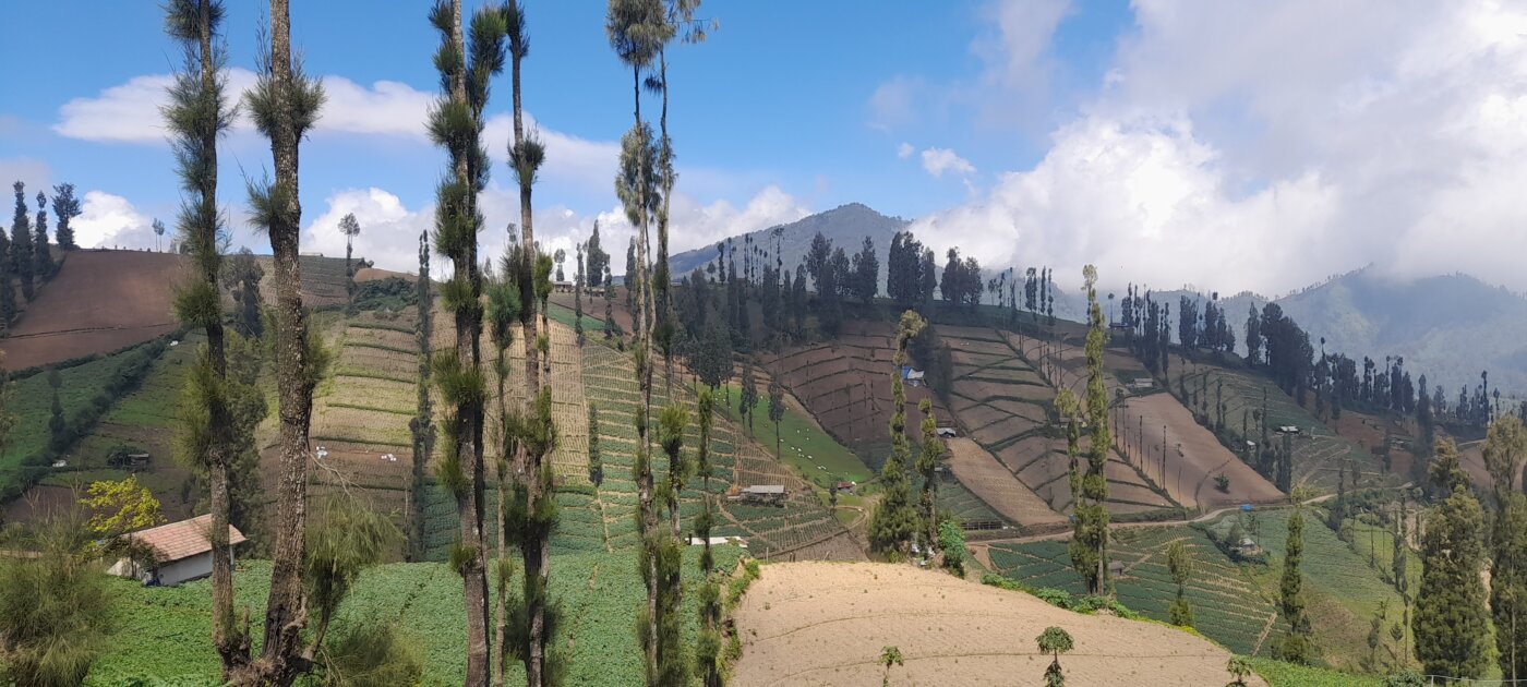 plantation route de malang-java-4