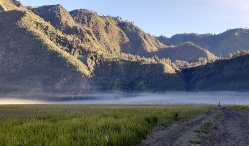 volcan-bromo-java-19