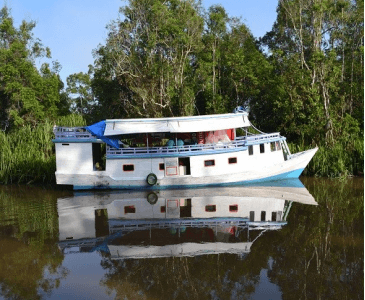 Borneo Tanjung Puting Boat 10