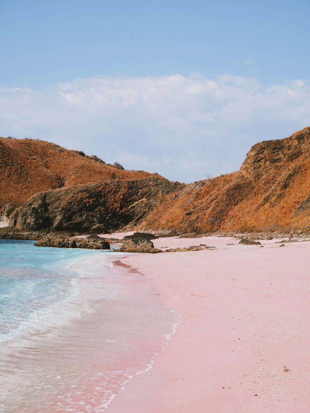 Flores Komodo Pink Beach