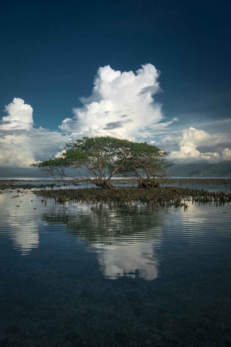 Lombok Gili Meno Beach 4