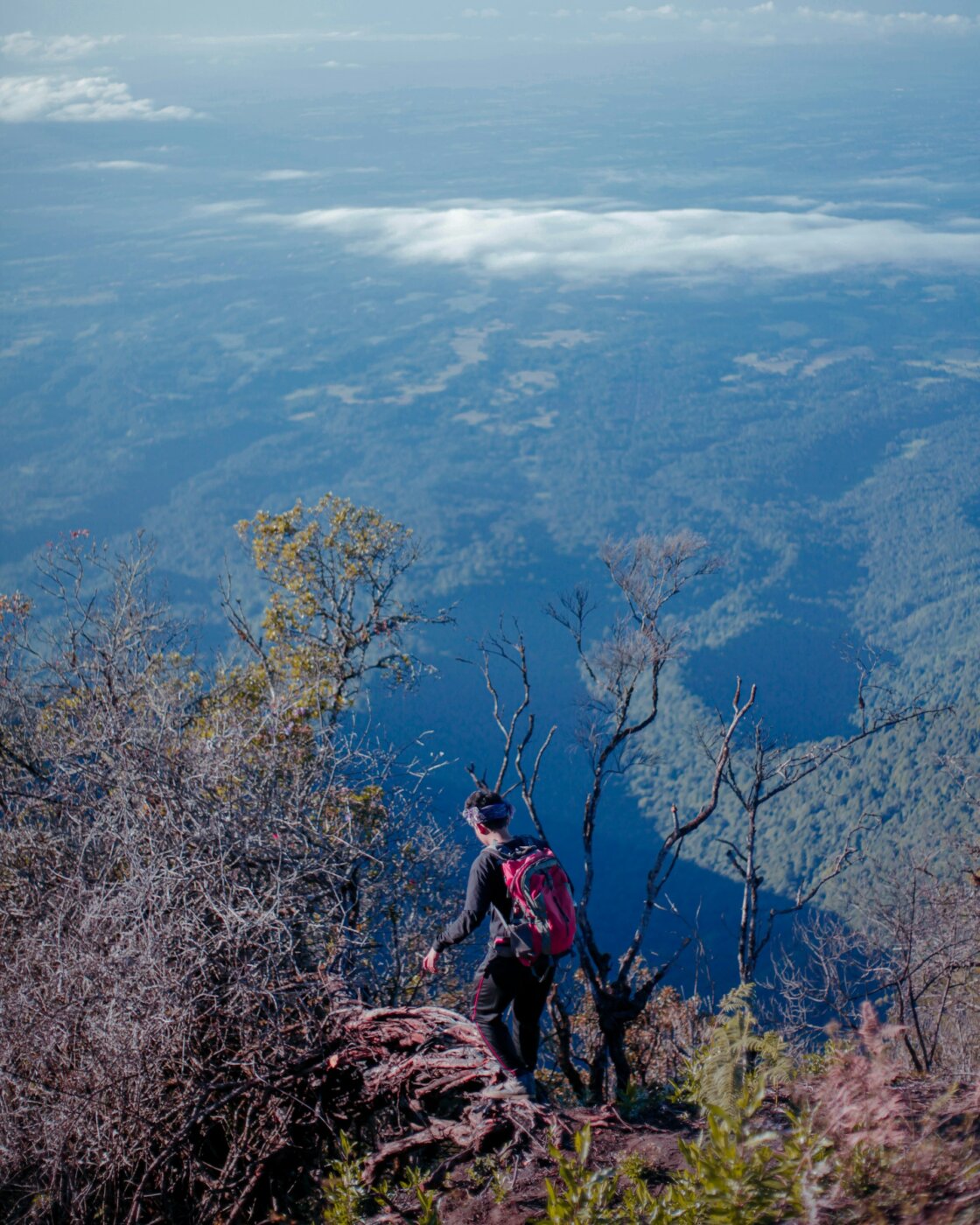 Bali Mont Batukaru Treking