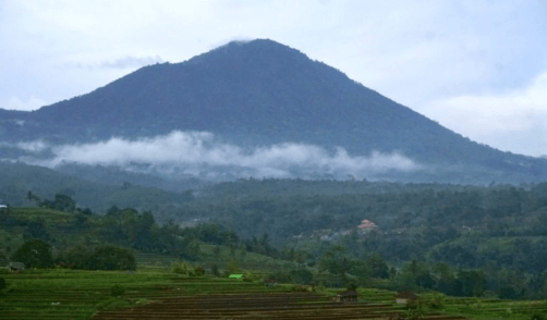 Bali Mont Batukaru Treking 3