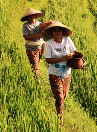 Bali Taman Sari Buwana 4