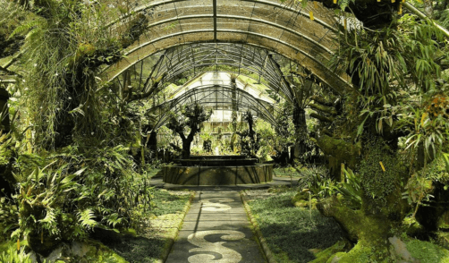 Bali Bedugul Botanic Garden 1