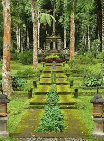 Bali Bedugul Botanic Garden