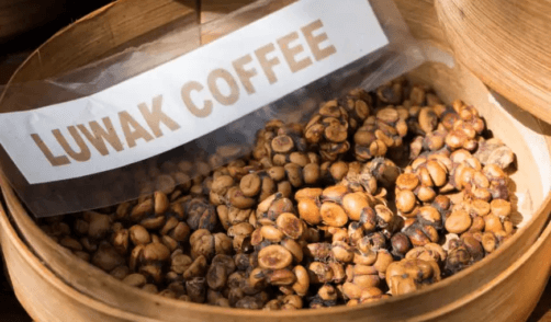 Bali Food Kopi Luwak