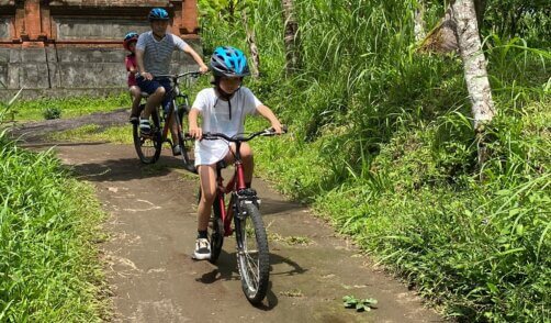 Bali Ubud Bike Dewa 7