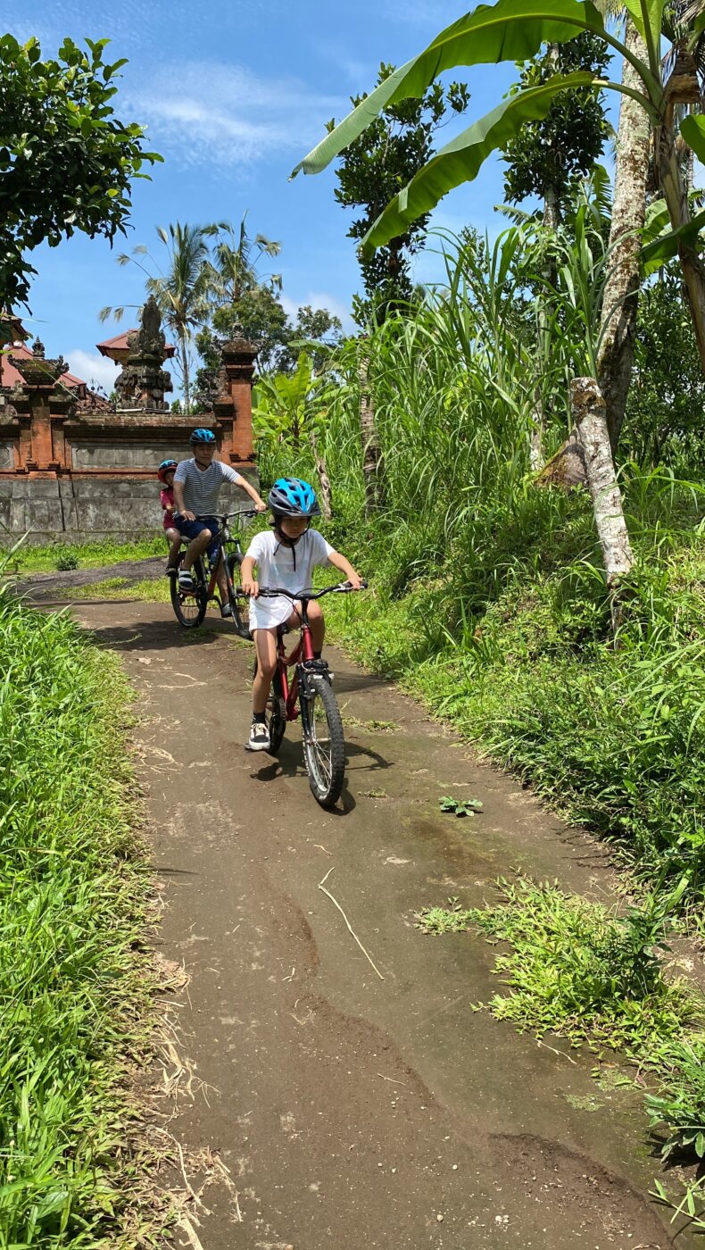 Bali Ubud Bike Dewa 7