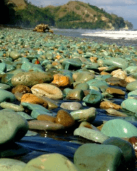 Flores Beach Penggajawa