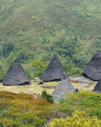 Flores Village Ruteng Puu