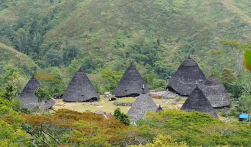 Flores Village Ruteng Puu