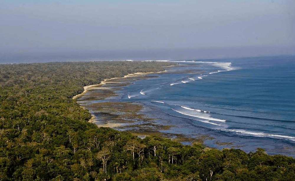 Java Beach Plengkung 1