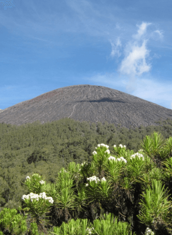 Java Volcan Semeru