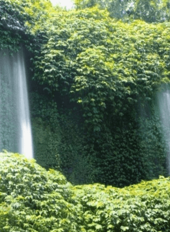 Lombok Waterfall Benang Kelambu