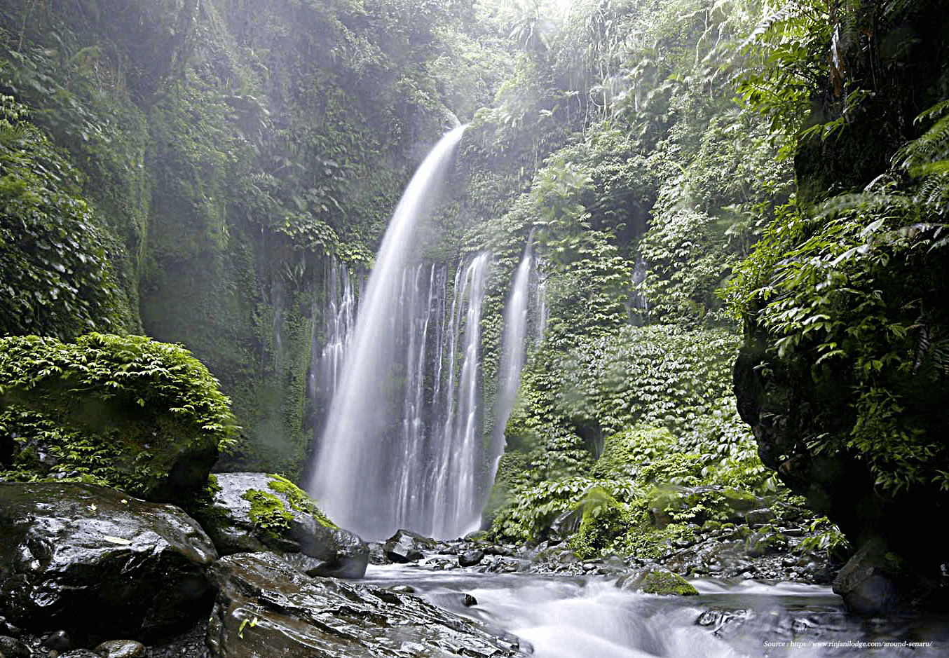 Lombok Waterfall Senaru